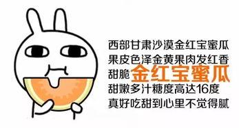 带你成为吃瓜群众,带你轻松成为吃瓜群众的必备指南  第3张